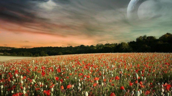 女生身高174体重120+算胖吗?